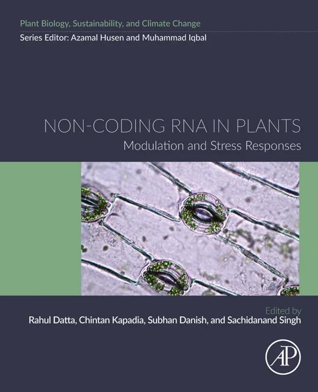Non-coding RNA in Plants: Modulation and Stress Responses