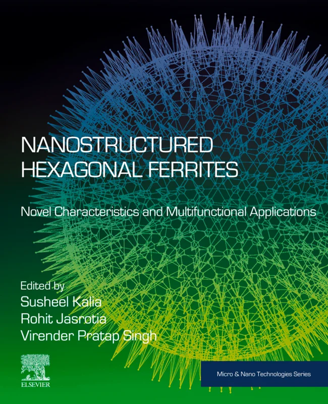 Nanostructured Hexagonal Ferrites: Novel Characteristics and Multifunctional Applications (Micro and Nano Technologies)