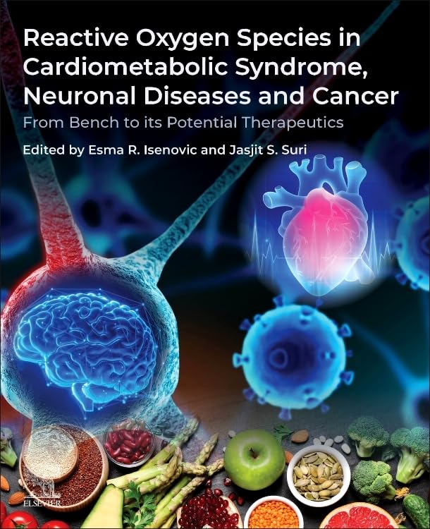 Reactive Oxygen Species in Cardiometabolic Syndrome, Neuronal Diseases and Cancer: From Bench to its Potential Therapeutics